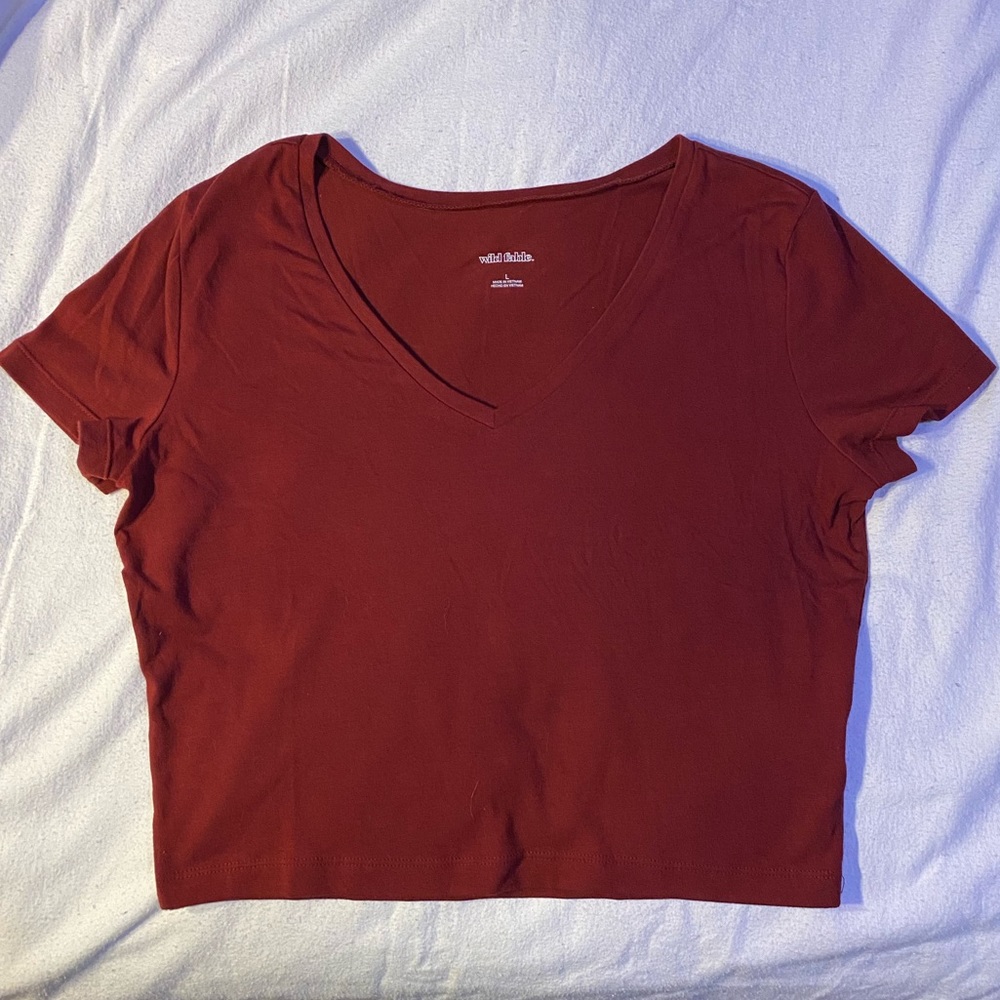 Wild Fable - maroon crop top - L